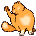 gatto arancione pulisce.gif